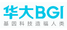 华大集团