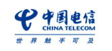 中国电信集团有限公司