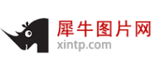 犀牛图片网