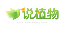 说植物